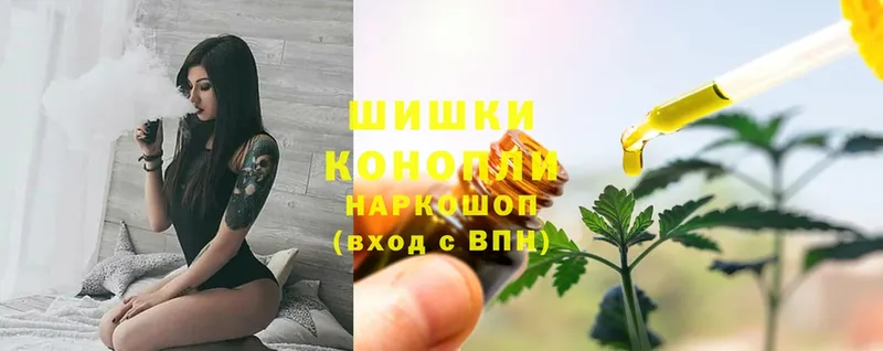 Бошки марихуана OG Kush  сколько стоит  Новосибирск 